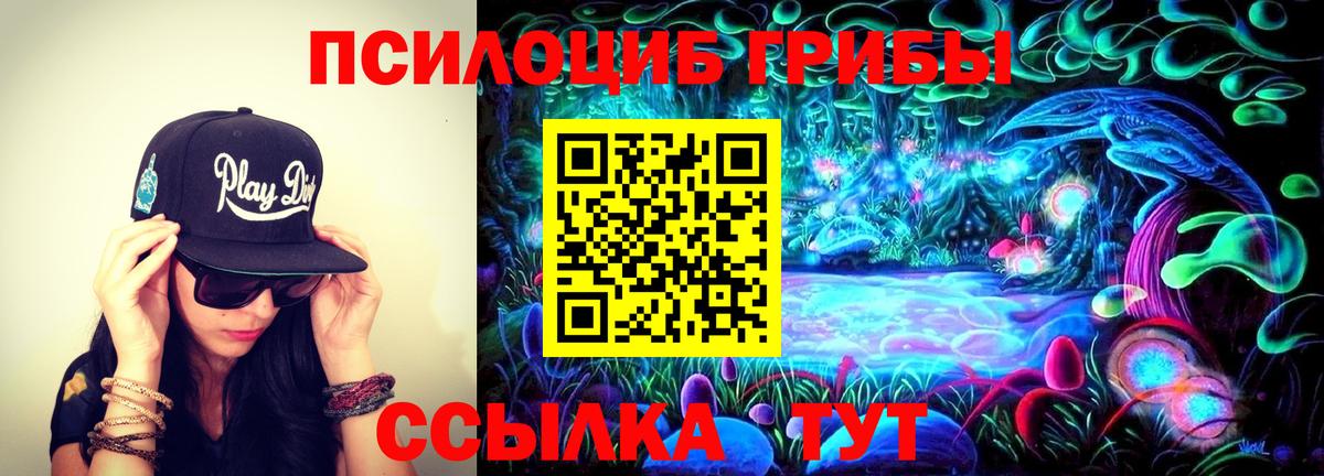 Галлюциногенные грибы GOLDEN TEACHER Коммунар