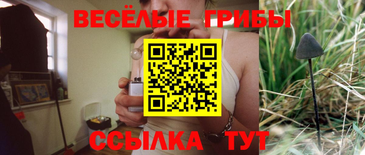 Коммунар  Галлюциногенные грибы MAGIC MUSHROOMS  Вход с VPN 